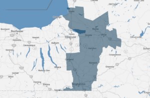 NY's Congressional District Map